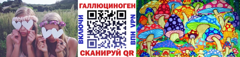Купить  Тында  Псилоцибиновые грибы Cubensis 